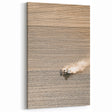 Farmhouse Wall Art: Rustic Field with Tractor, Country Style Decor