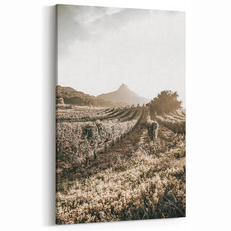 Farmhouse Wall Art: Sunlit Vineyard Rows, Rustic Country Charm Decor