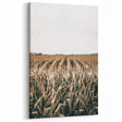 Farmhouse Wall Art: Golden Crops in the Field, Rustic Country Decor