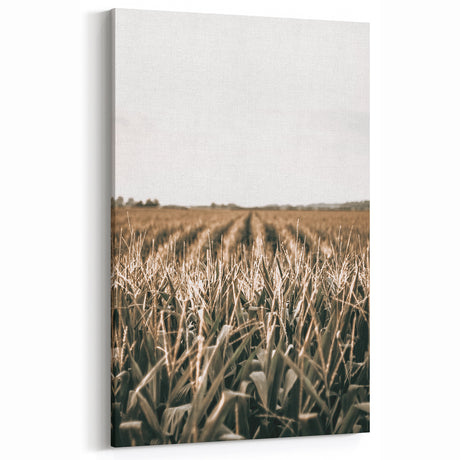 Farmhouse Wall Art: Golden Crops in the Field, Rustic Country Decor