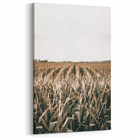 Farmhouse Wall Art: Golden Crops in the Field, Rustic Country Decor