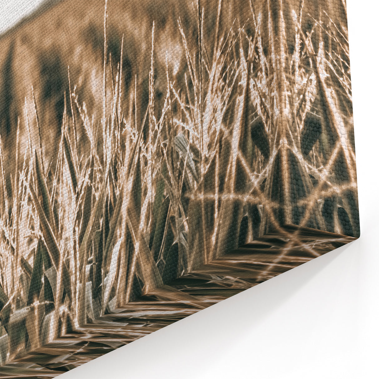 Farmhouse Wall Art: Golden Crops in the Field, Rustic Country Decor