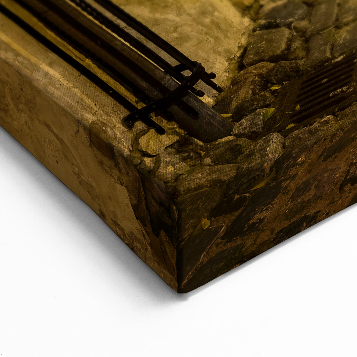 Amsterdam Scenic Prints - Full Moon Over Historic Street Amsterdam Art