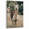 Farmhouse Alpaca Wall Art – Rustic Country Style Animal Decor