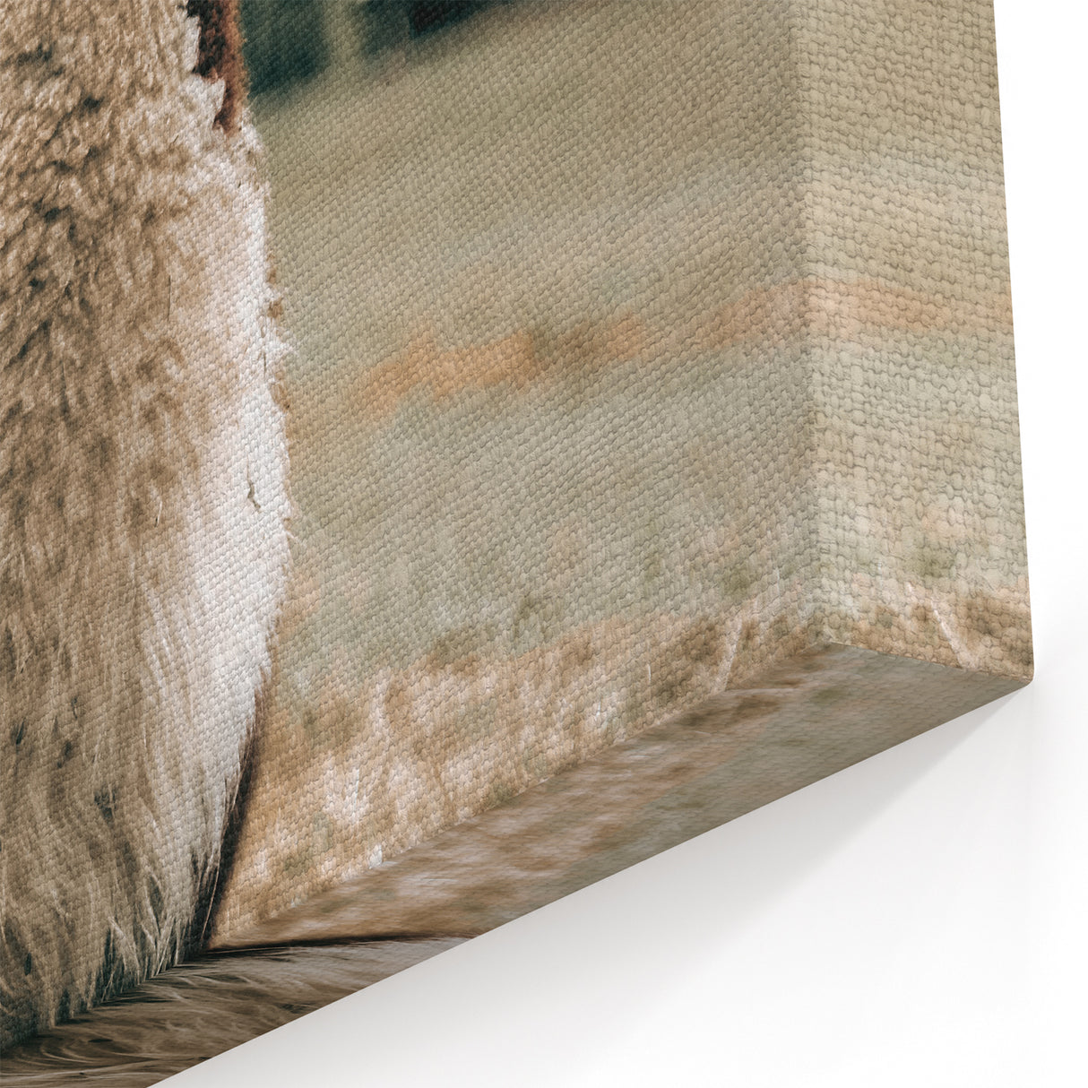 Farmhouse Alpaca Wall Art – Rustic Country Style Animal Decor
