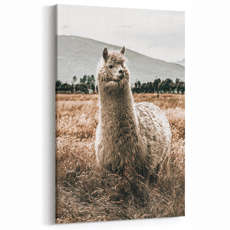 Farmhouse Alpaca in Field Art – Rustic Country Style Wall Decor
