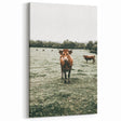Farmhouse Wall Art - Rustic Country Cattle in Green Pasture Scene