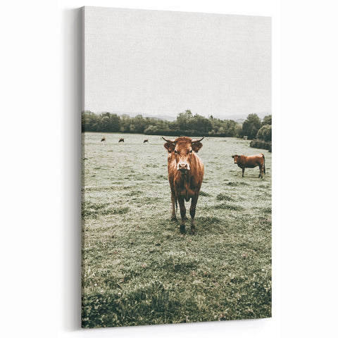 Farmhouse Wall Art - Rustic Country Cattle in Green Pasture Scene