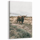 Farmhouse Wall Art - Highland Cow in Rustic Field for Country Decor