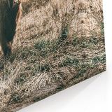 Farmhouse Wall Art - Highland Cow in Rustic Field for Country Decor