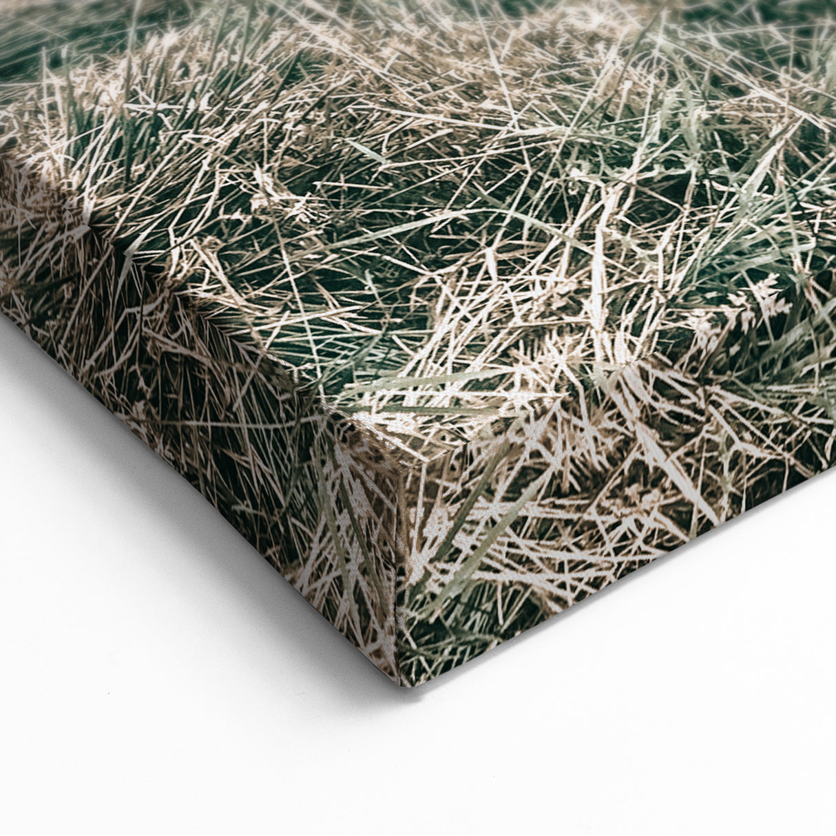 Farmhouse Wall Art - Highland Cow in Rustic Field for Country Decor