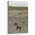 Farmhouse Wall Art - Rolling Hills with Grazing Cattle for Rustic Decor