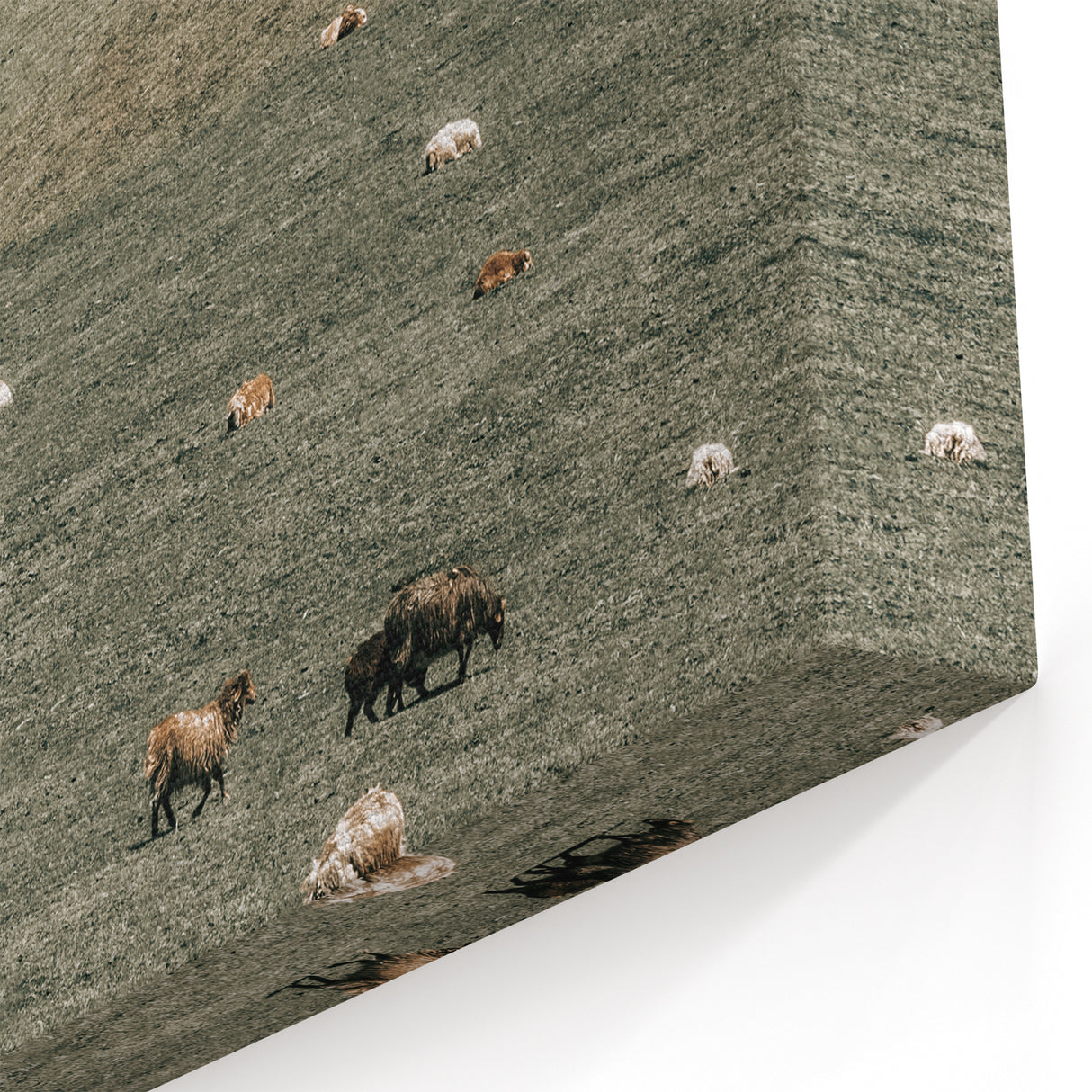 Farmhouse Wall Art - Rolling Hills with Grazing Cattle for Rustic Decor