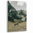 Farmhouse Wall Art - Tranquil Cow in Mountain Valley for Rustic Decor