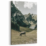 Farmhouse Wall Art - Tranquil Cow in Mountain Valley for Rustic Decor