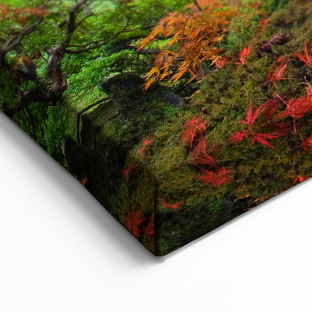 Artistic Portland Oregon Prints – Japanese Maple Tree in Autumn Colors