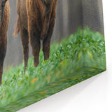 Poland Wall Art - Majestic European Bison in Scenic Landscape