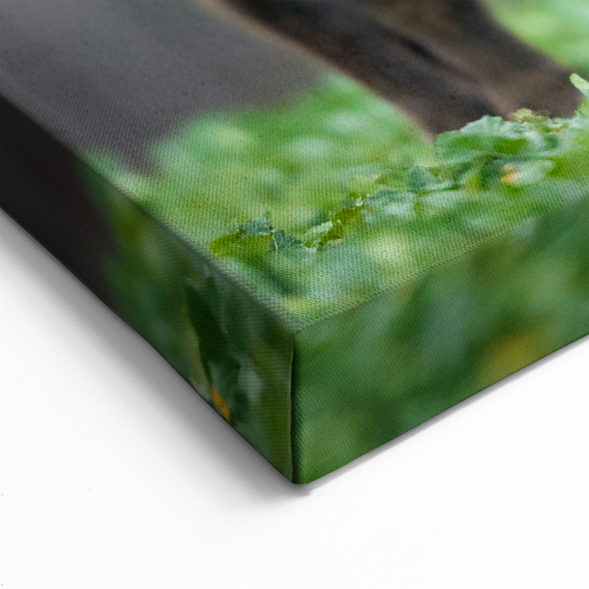 Poland Wall Art - Majestic European Bison in Scenic Landscape