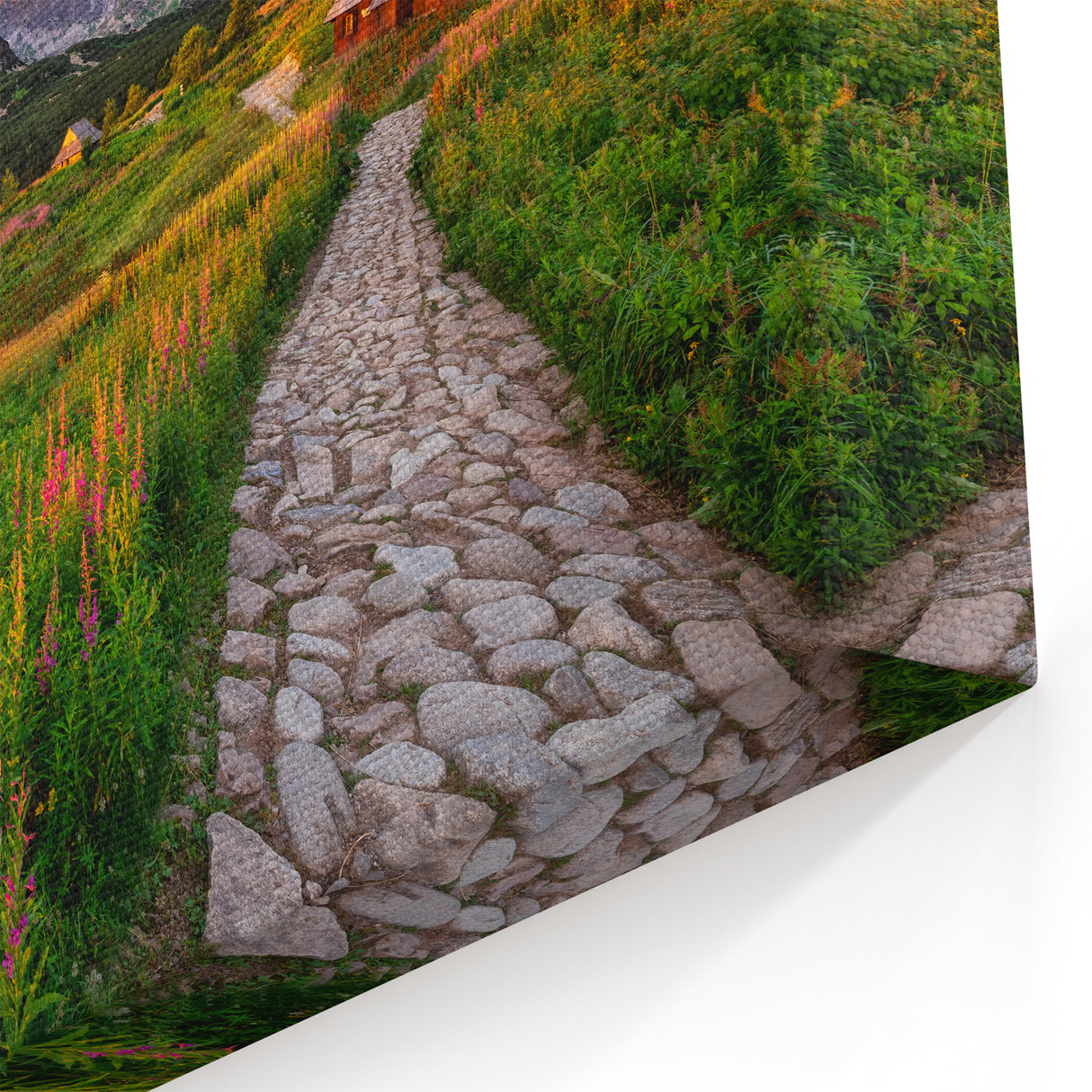 Poland Canvas Art - Idyllic Tatra Mountain Village Landscape