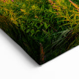 Poland Canvas Art - Idyllic Tatra Mountain Village Landscape