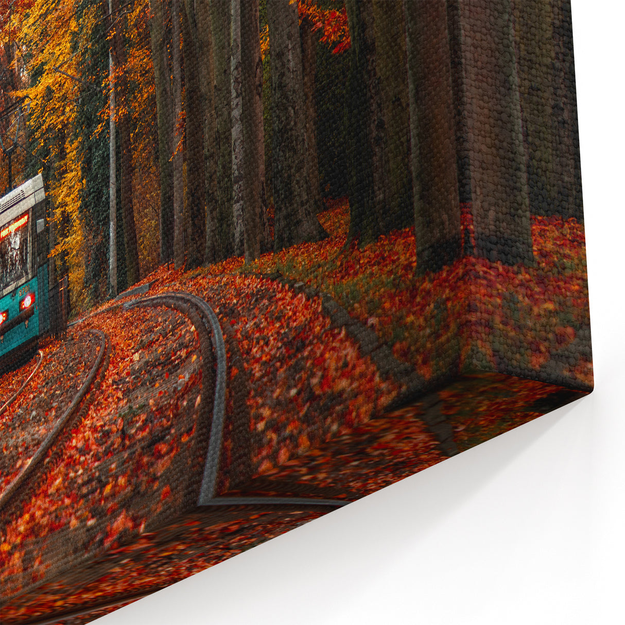 Polish Scenery Prints - Autumn Tramway Through Forest Path
