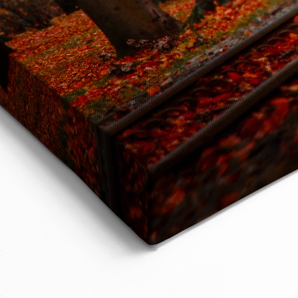 Polish Scenery Prints - Autumn Tramway Through Forest Path