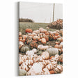 Harvest Pumpkin Patch Wall Art | Rustic Farmhouse Decor for Fall Homes
