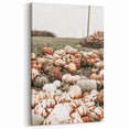 Harvest Pumpkin Patch Wall Art | Rustic Farmhouse Decor for Fall Homes