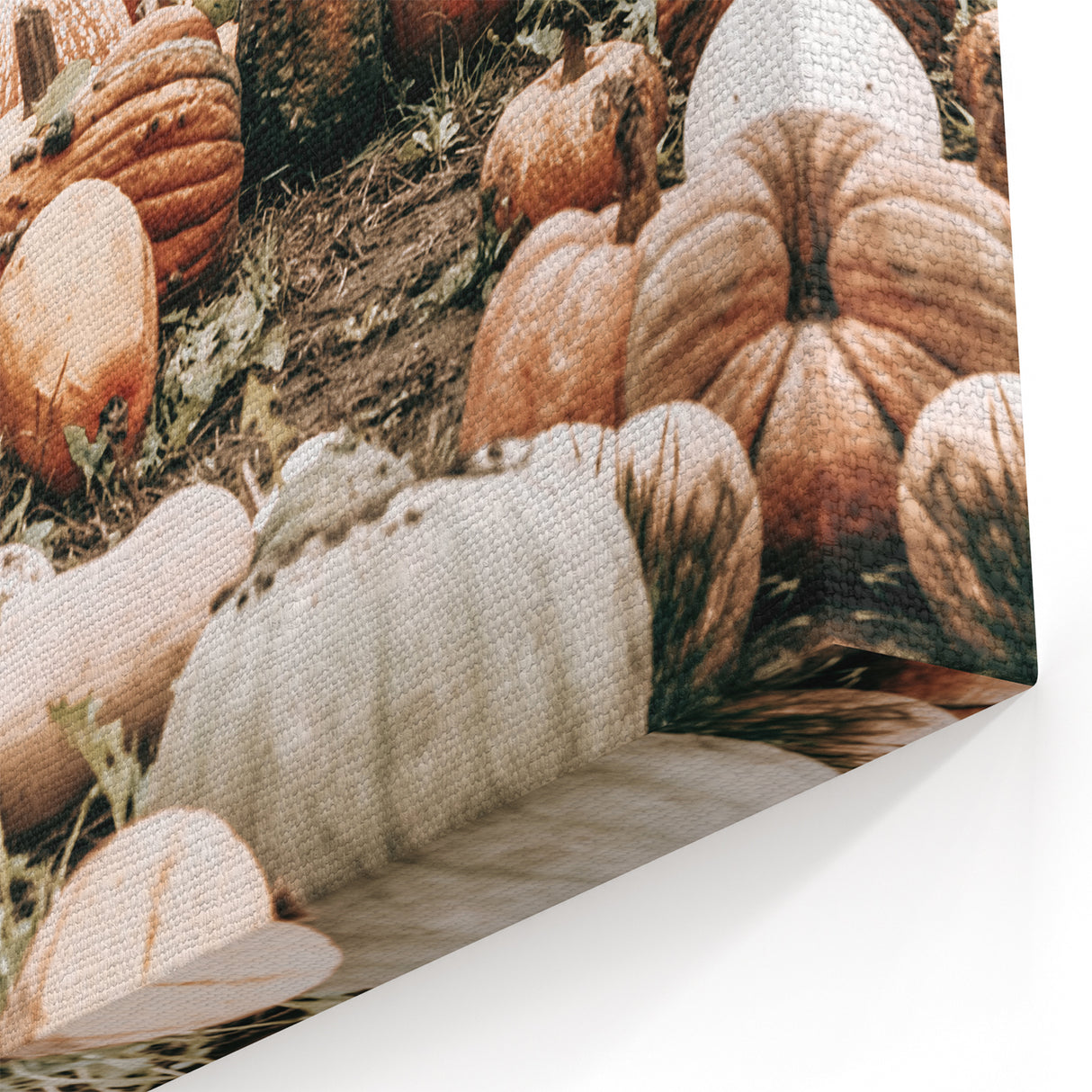 Harvest Pumpkin Patch Wall Art | Rustic Farmhouse Decor for Fall Homes