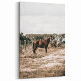 Serene Horse in Field Wall Art | Rustic Farmhouse Decor for Country Homes