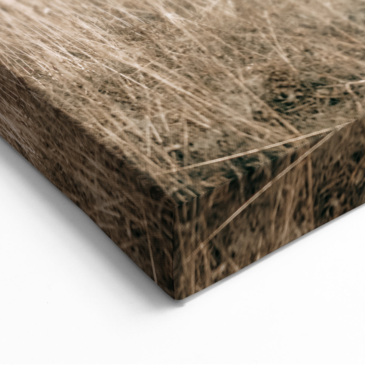 Farm Cow in Field Wall Art | Rustic Farmhouse Decor for Country Homes