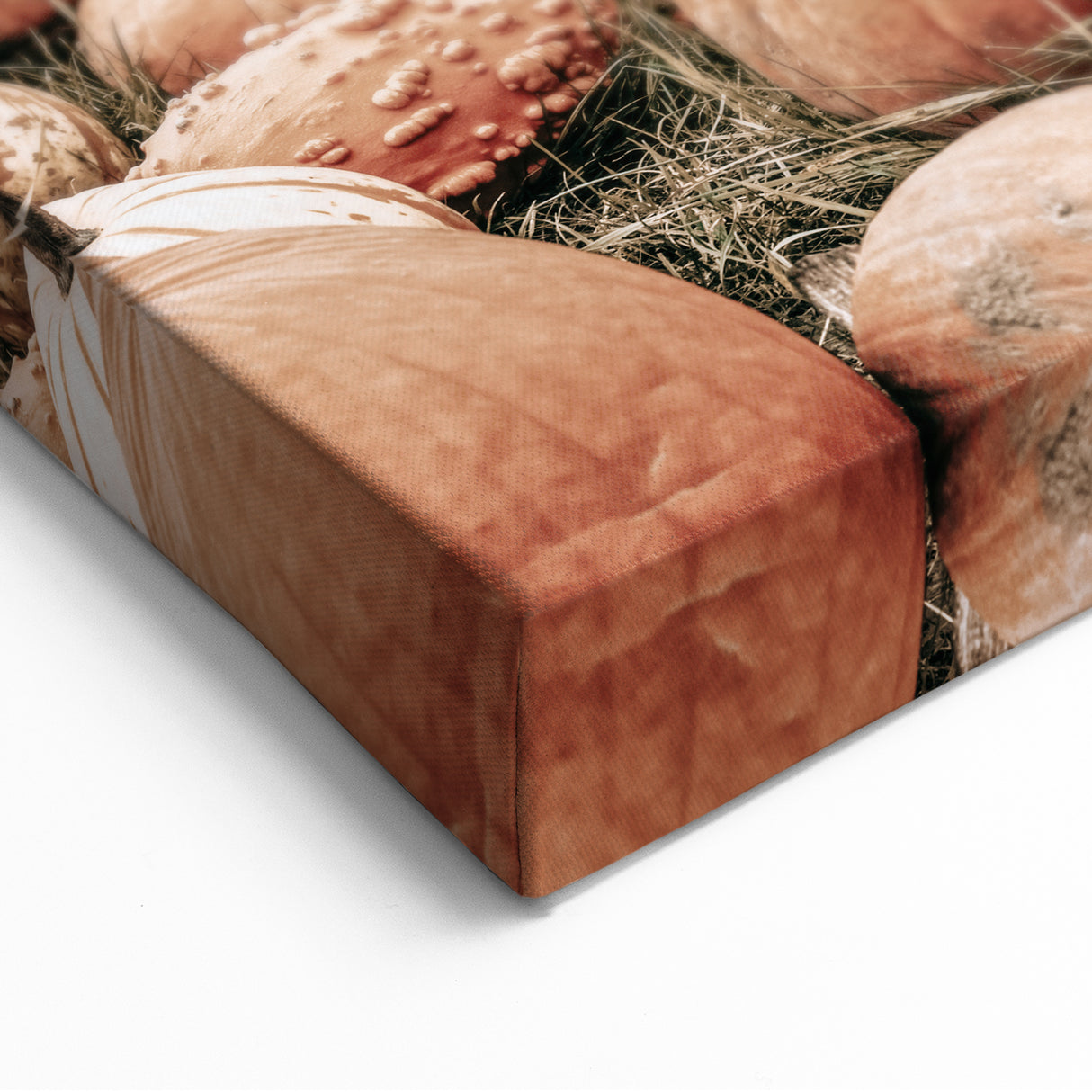 Rustic Pumpkin Harvest Wall Art | Farmhouse Decor for Fall Homes