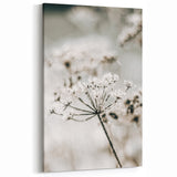 Frosted Wildflower Wall Art | Rustic Farmhouse Decor for Serene Spaces