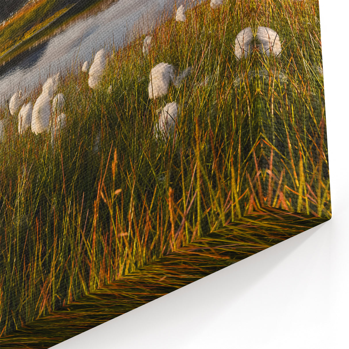 Scenic Norway Wall Decor - Cotton Grass and Mountains at Sunset