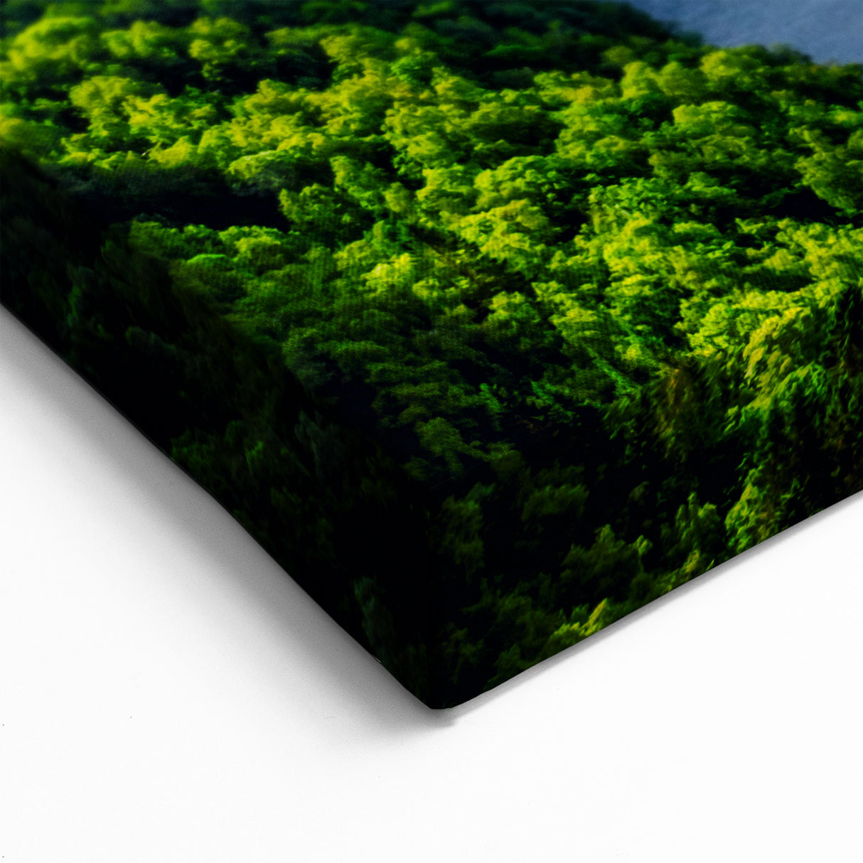 Fjords of Norway Canvas - Cruise Ship in Lush Mountains at Sunset