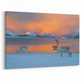 Norwegian Landscape Photography - Reindeer in Snow with Sunset Fjord