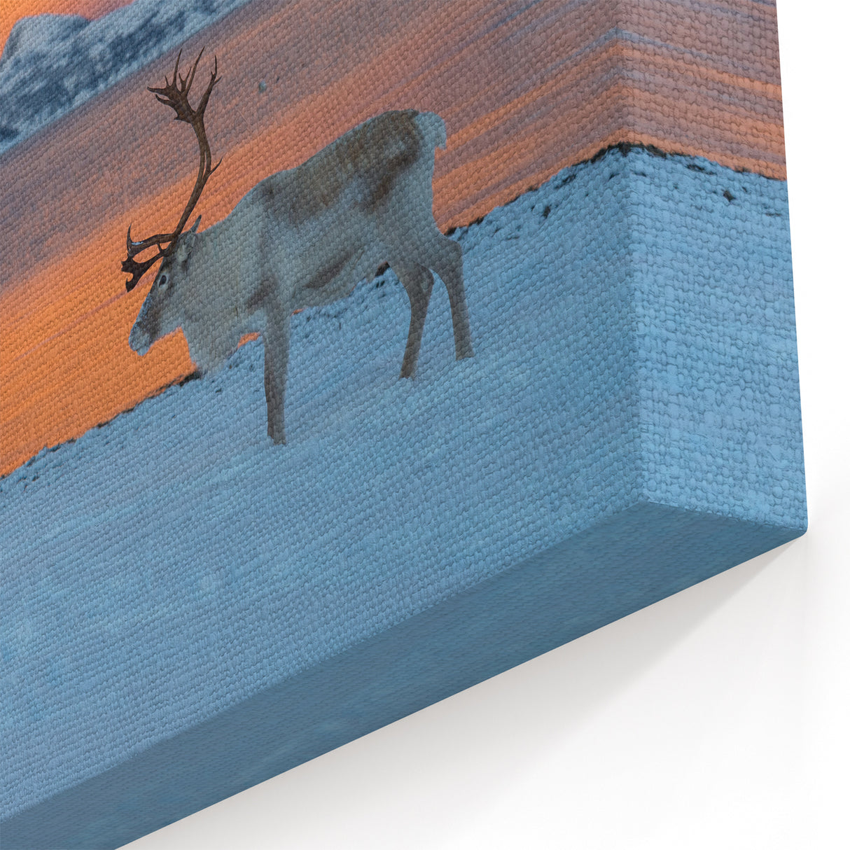Norwegian Landscape Photography - Reindeer in Snow with Sunset Fjord