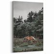 Rustic Horse Grazing Wall Art – Vintage Farmhouse Nature Scene Print