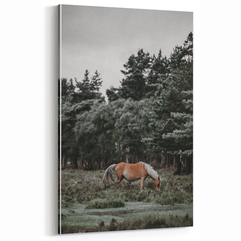 Rustic Horse Grazing Wall Art – Vintage Farmhouse Nature Scene Print