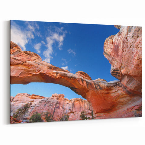 Capitol Reef National Park Art - Utah Scenic Wall Canvas Print Decor