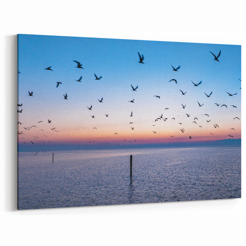 Mississippi Coastal Art - Birds at Sunrise Canvas Prints