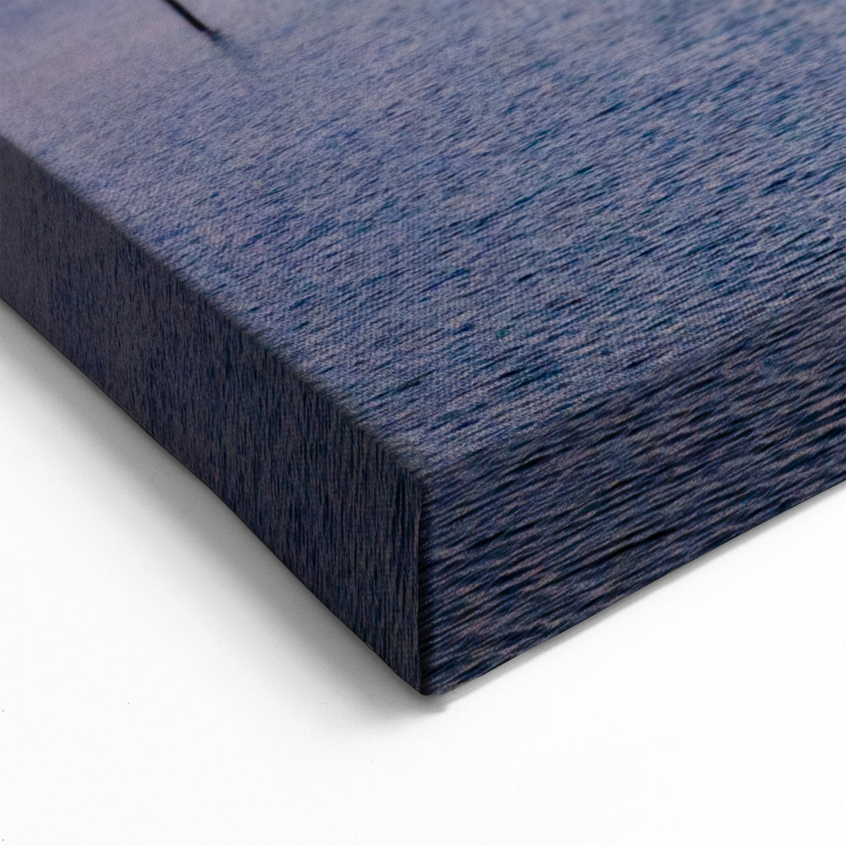 Mississippi Coastal Art - Birds at Sunrise Canvas Prints