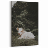 Rustic Cow in Field Wall Art – Farmhouse Animal Nature Scene Decor Print