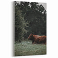 Rustic Cow in Meadow Wall Art – Farmhouse Animal Nature Decor Print