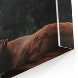 Rustic Cow in Meadow Wall Art – Farmhouse Animal Nature Decor Print
