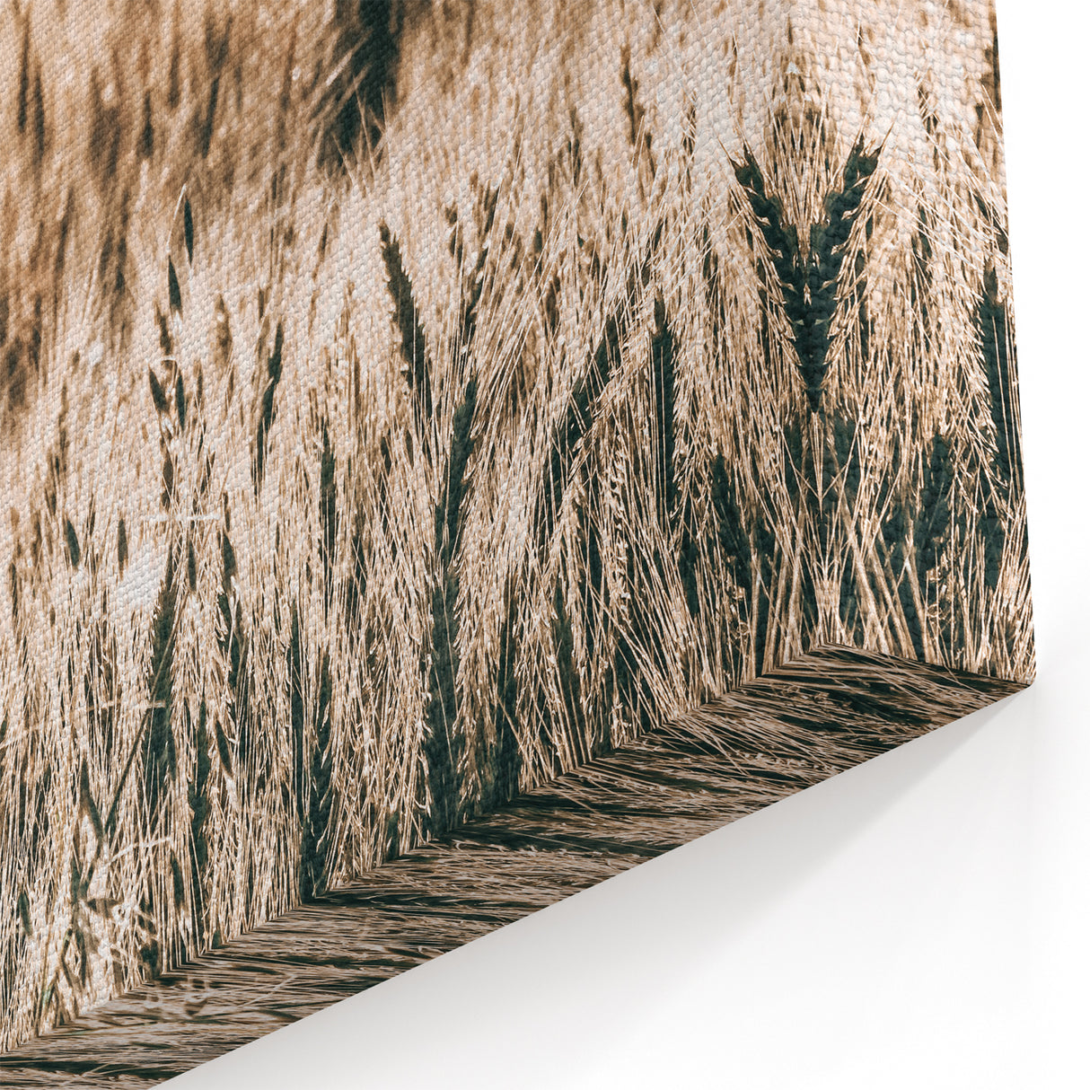 Golden Wheat Field Farmhouse Wall Art - Rustic Country Style Decor