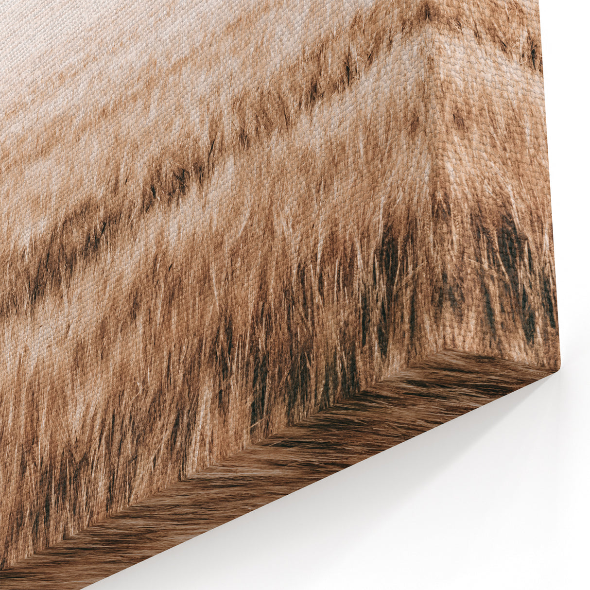 Farmhouse Wall Art of Wheat Field and Sky - Rustic Country Style Decor