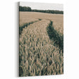 Farmhouse Wall Art of Wheat Field Path - Rustic Country Style Decor
