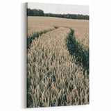 Farmhouse Wall Art of Wheat Field Path - Rustic Country Style Decor