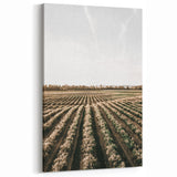 Farmhouse Wall Art of Scenic Crop Fields - Rustic Country Style Decor